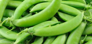 sugar_snap_peas2