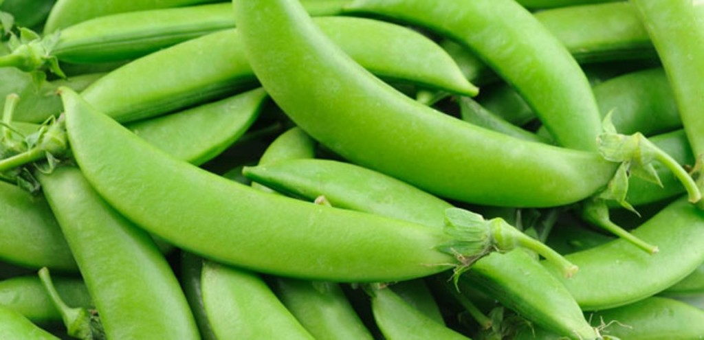 sugar_snap_peas3