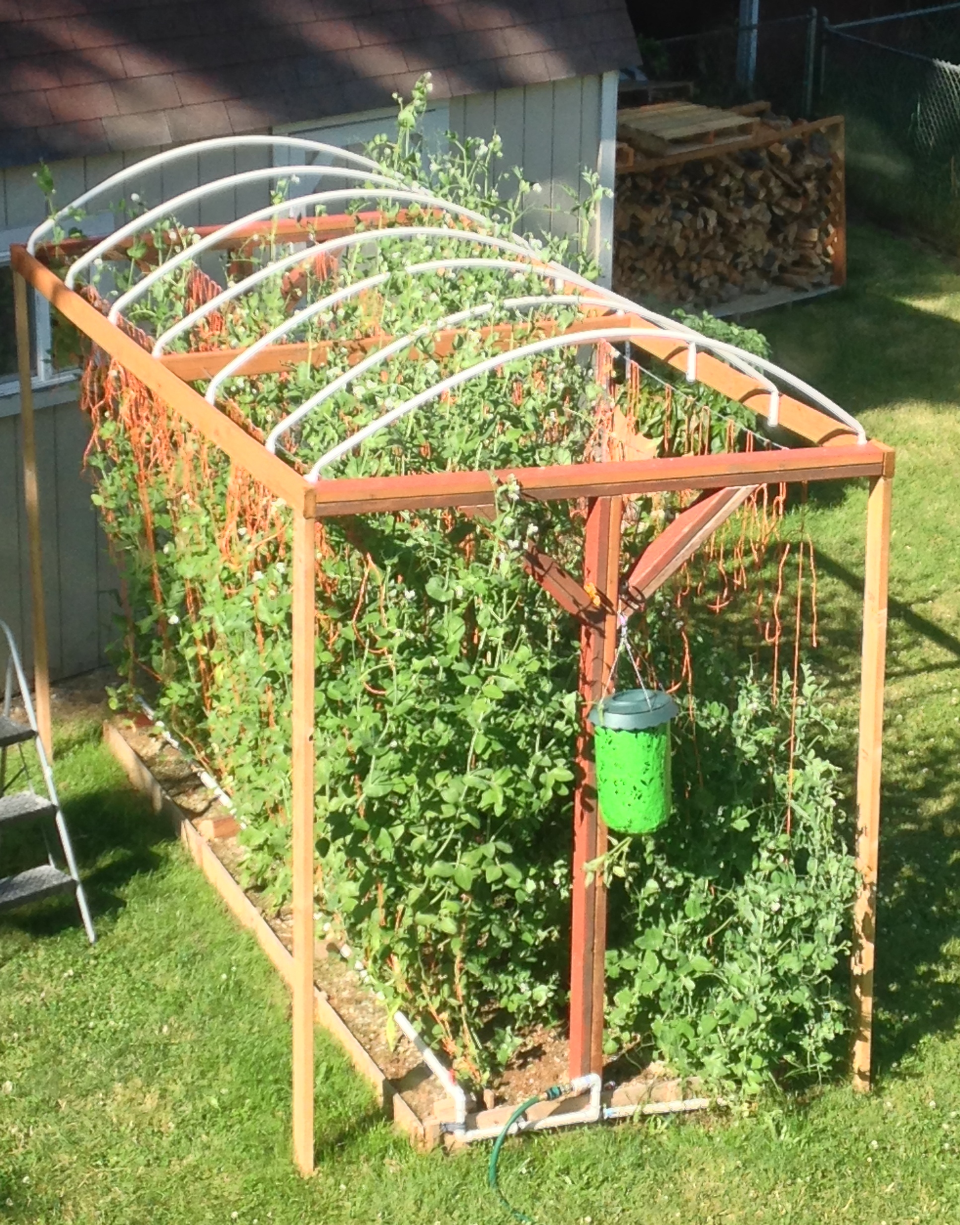 DIY trellis design for vertical gardening, space-saving garden ideas